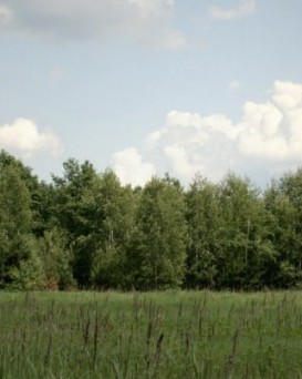 Любанское ВОХ