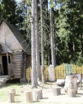 Столбцовский опытный лесхоз