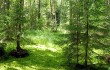 Борисовское ВОХ