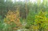 Глусская РОС