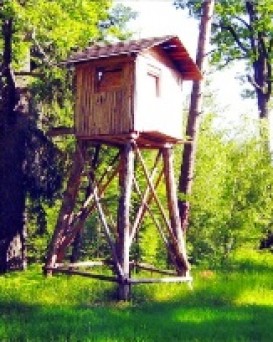 Речицкий опытный лесхоз