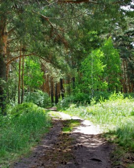 Поставская РОС