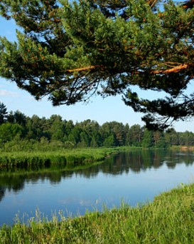 Россонская РОС