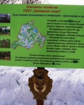 Полоцкий лесхоз