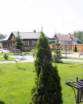 Подсолнух