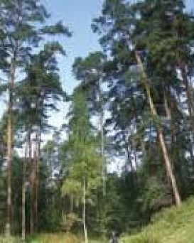 Сенненская РОС