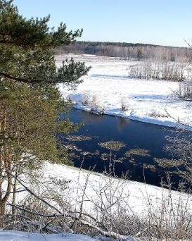 Поречское ВОХ