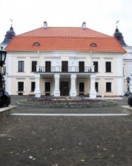 Усадьба Немцевичей в деревне Скоки