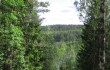 Шумилинская РОС