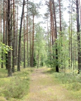 Солигорская РОС