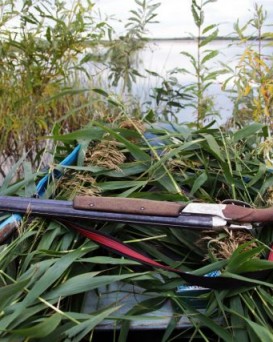 Хойникская РОС