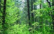 Шарковщинская РОС