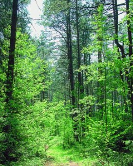 Шарковщинская РОС