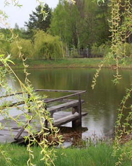 Мозырская РОС