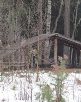 Смолевичская РОС