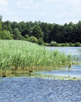 Чечерская РОС