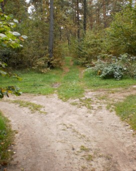 Могилёвская РОС