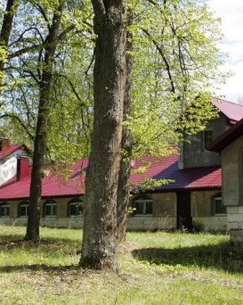 Дворец Бохвицей в Павлиново